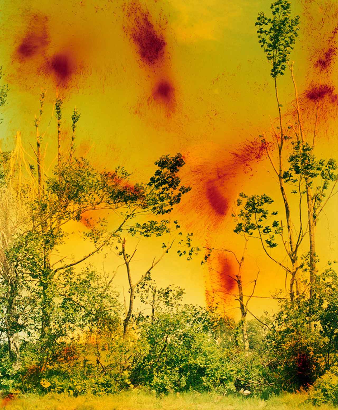 ヴォルフガング・ティルマンス 歳を重ねてより深く、 クールに進化する