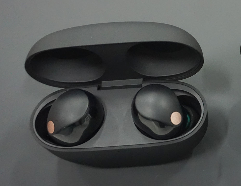 世界最高ノイキャン」を達成したソニー「WF-1000XM5」を聴く！ 完全