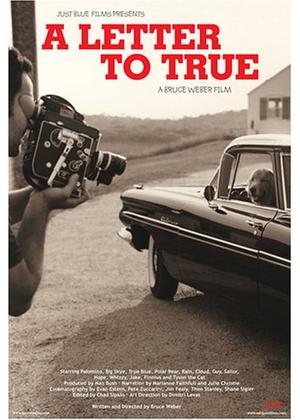 トゥルーへの手紙 - 映画情報・レビュー・評価・あらすじ・動画配信