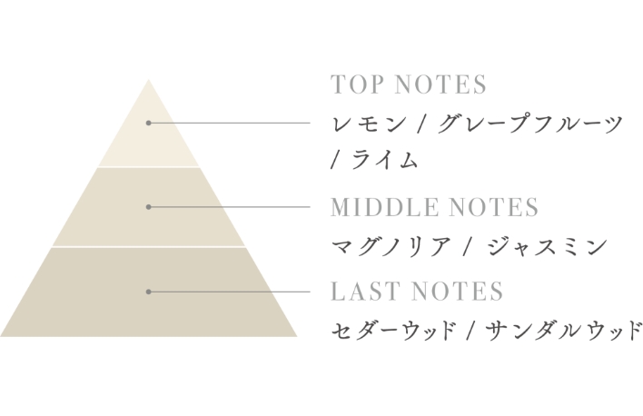 バランシングリポナノセラム｜AKNIR（アクニー） 公式オンラインサイト