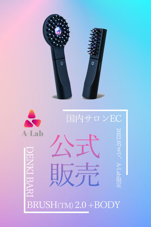 デンキバリブラシ®︎ 2.0 + ボディ｜DENKI BARI BRUSH TM 2.0+body