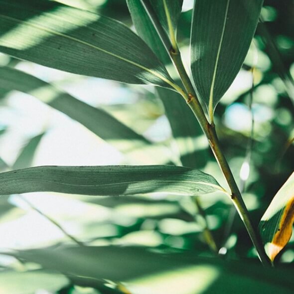 エポオールインワン 大容量サイズ ｜ エポラ（公式）オンラインショップ