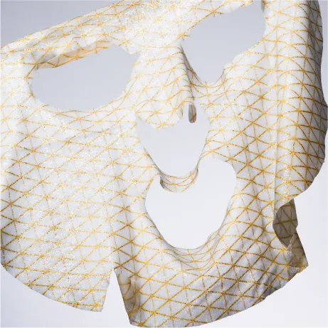 GENiS Professional | 商品詳細