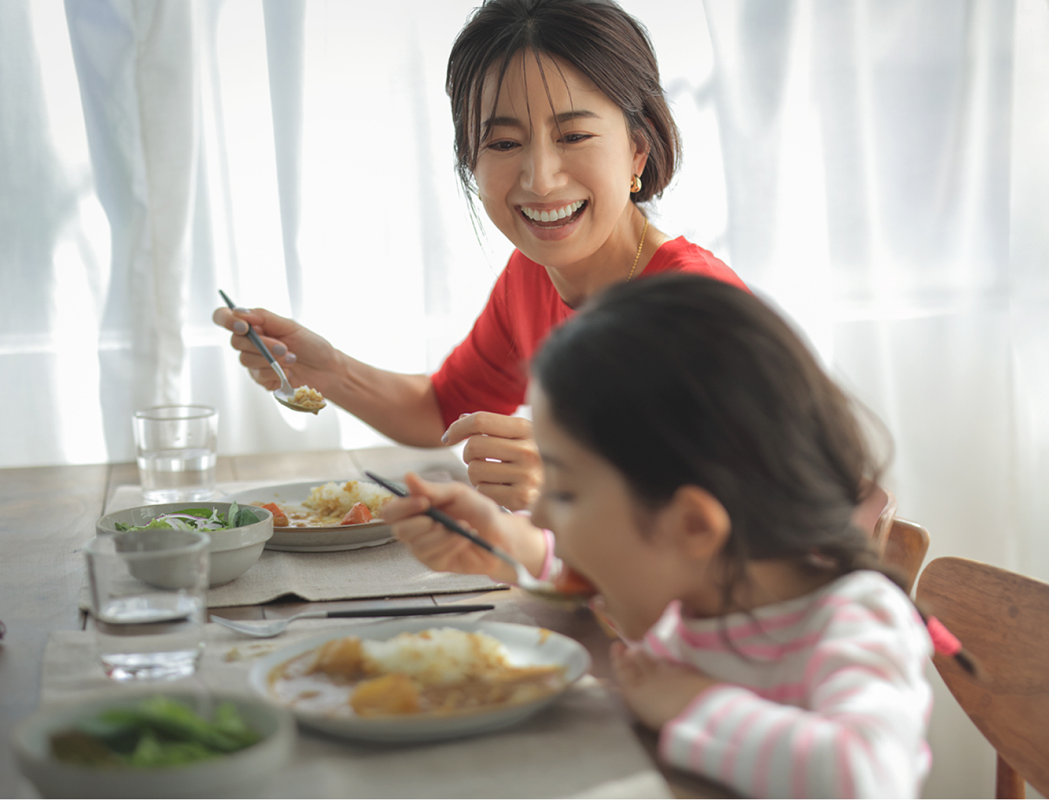 ベジタブルカレーフレーク（中辛） ｜Mother