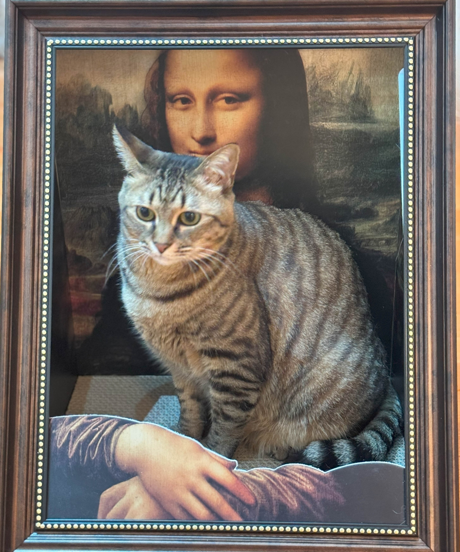 名画ハウス 爪とぎ 5WAY 額縁 猫 犬 | ONEKOSAMA OINUSAMA