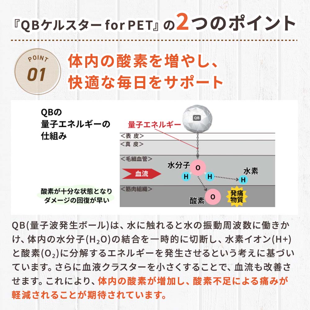 NEW】QBケルスター for PET｜ペットスタンス ドッグスタンス キャット