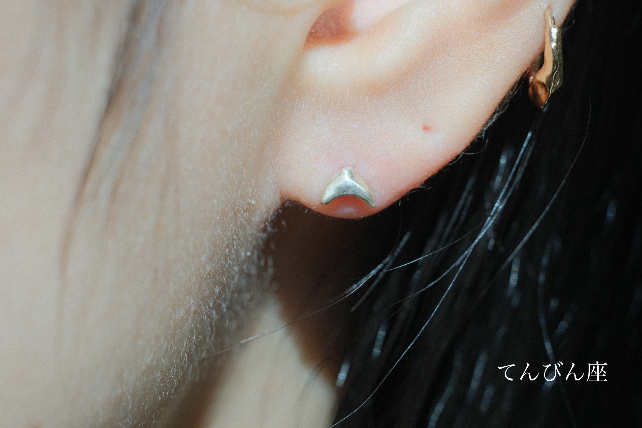 ゾディアック ピアス - PLUIE：プリュイ / ユエリーニュ 『公式』web