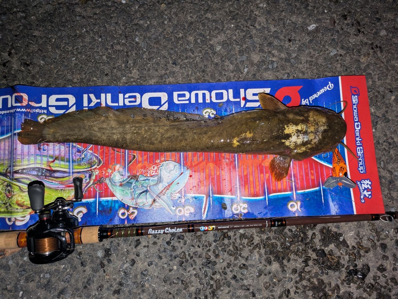 JACKALL ナジーチョイス SG NAC-SG67MLの最安値・インプレ・釣果