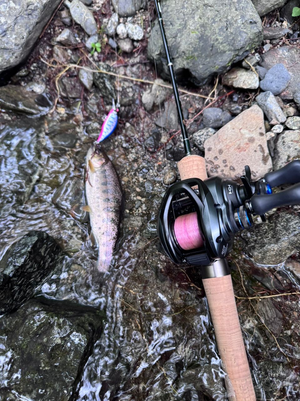 TENRYU レイズ RZ53UL-BCの最安値・インプレ・釣果 | 本音の口コミが