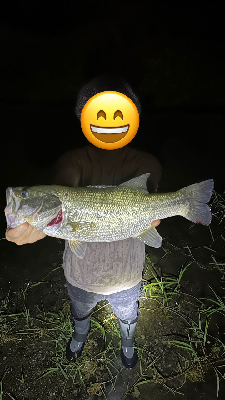 SHIMANO 21ポイズングロリアス 2610L/MHの最安値・インプレ・釣果