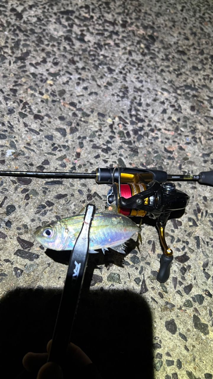 SHIMANO 17ソアレ CI4+ アジング S408UL-Sの最安値・インプレ・釣果