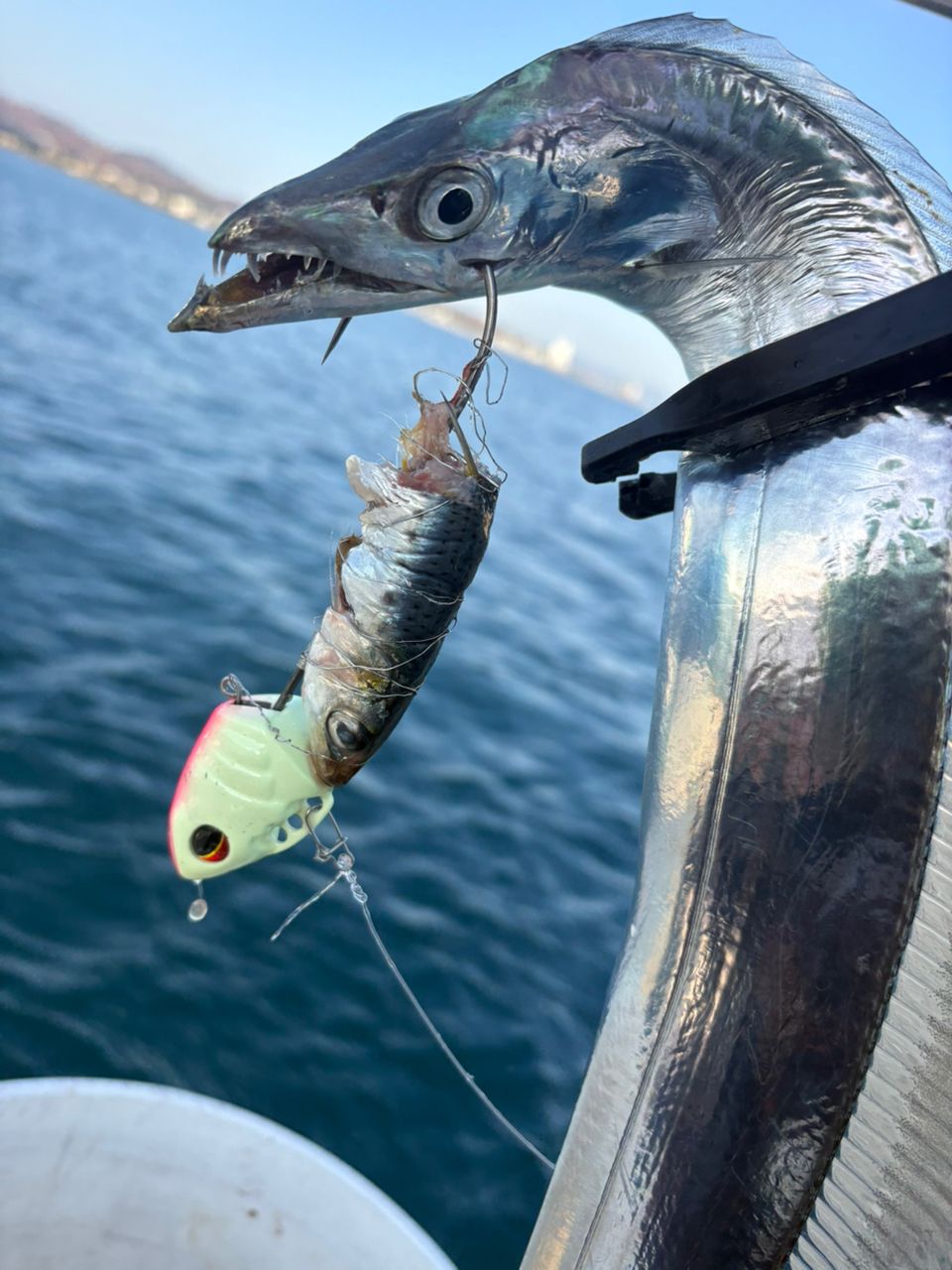 SHIMANO 19グラップラー CT 151XGの最安値・インプレ・釣果 | 本音の