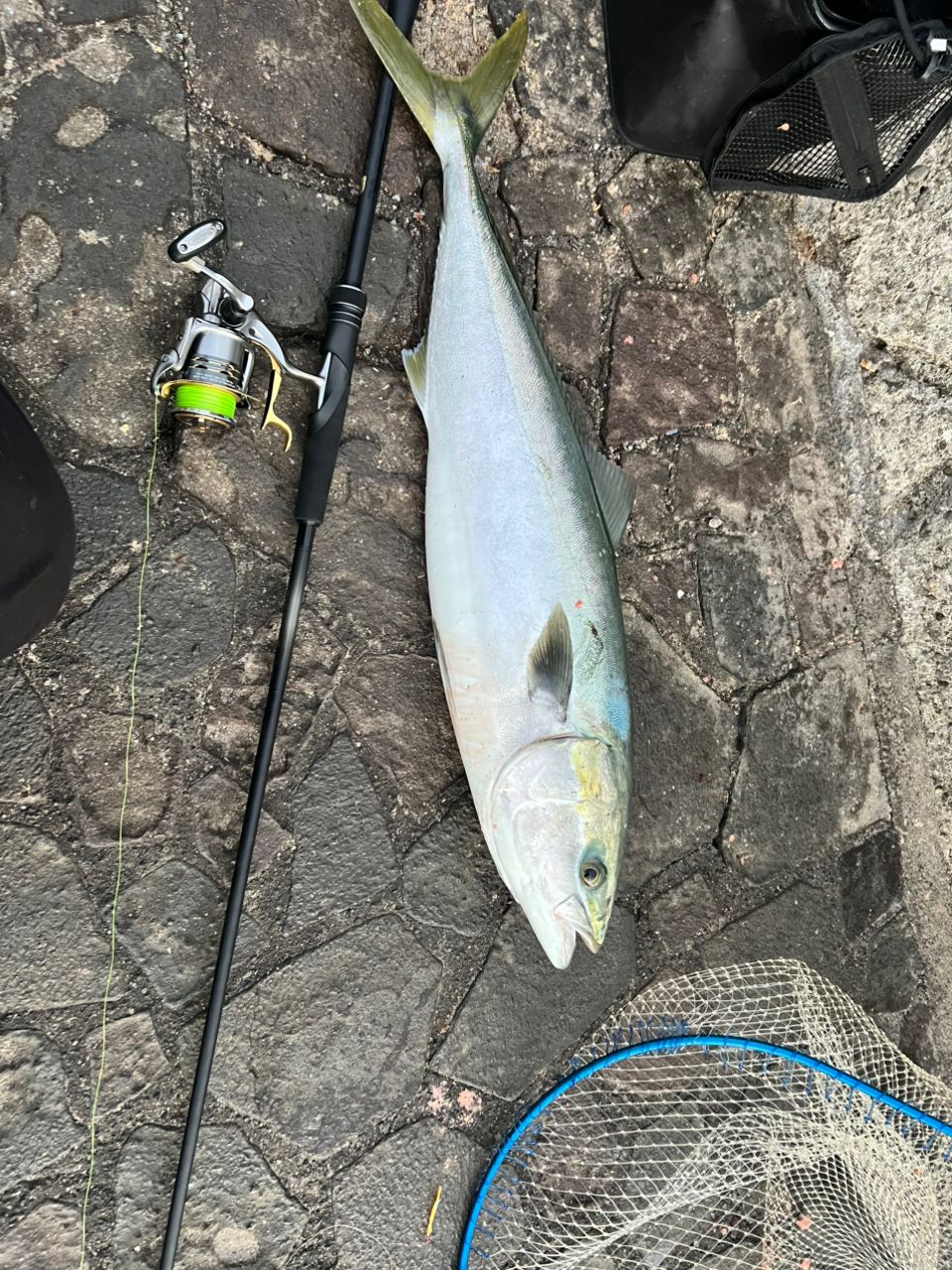 SHIMANO 23ディアルーナ S106MLの最安値・インプレ・釣果 | 本音の