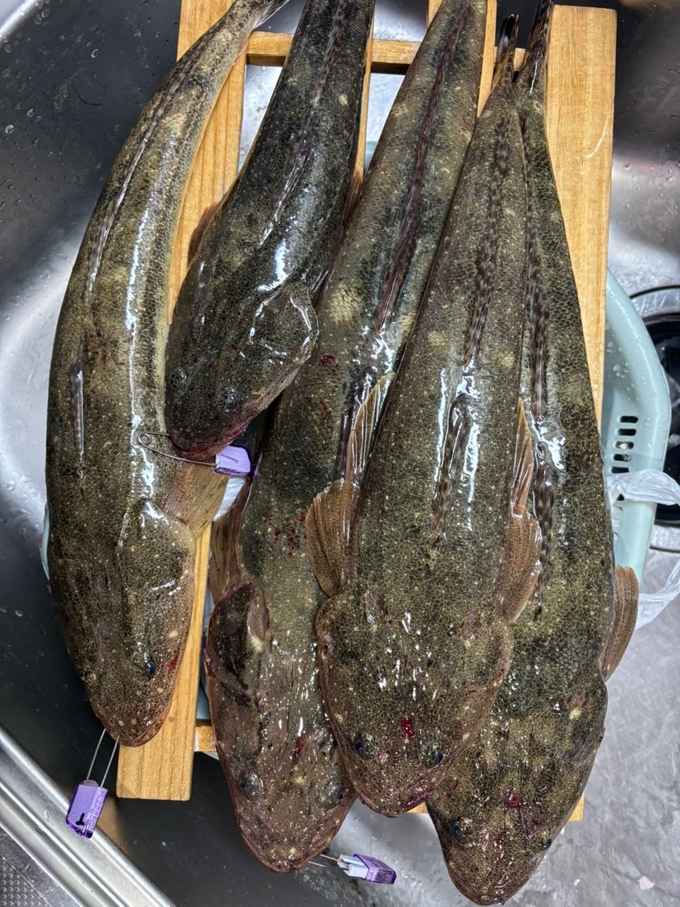 DAIWA 極鋭 マゴチ 2023年モデルの最安値・インプレ・釣果 | 本音の