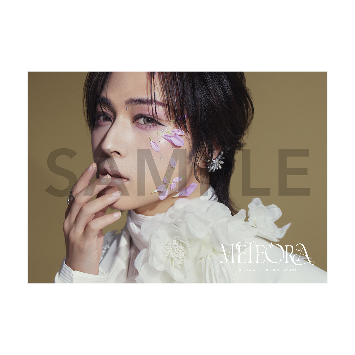 蒼井翔太×七海ひろき「METEORA」リリース記念オンラインくじ | KING