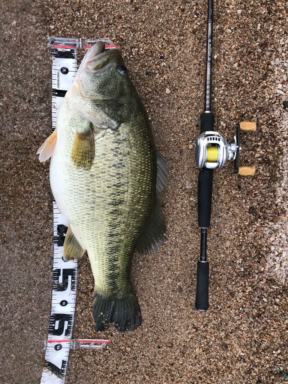 DAIWA 12ハートランド 742HRB-SV12の最安値・インプレ・釣果 | 本音の