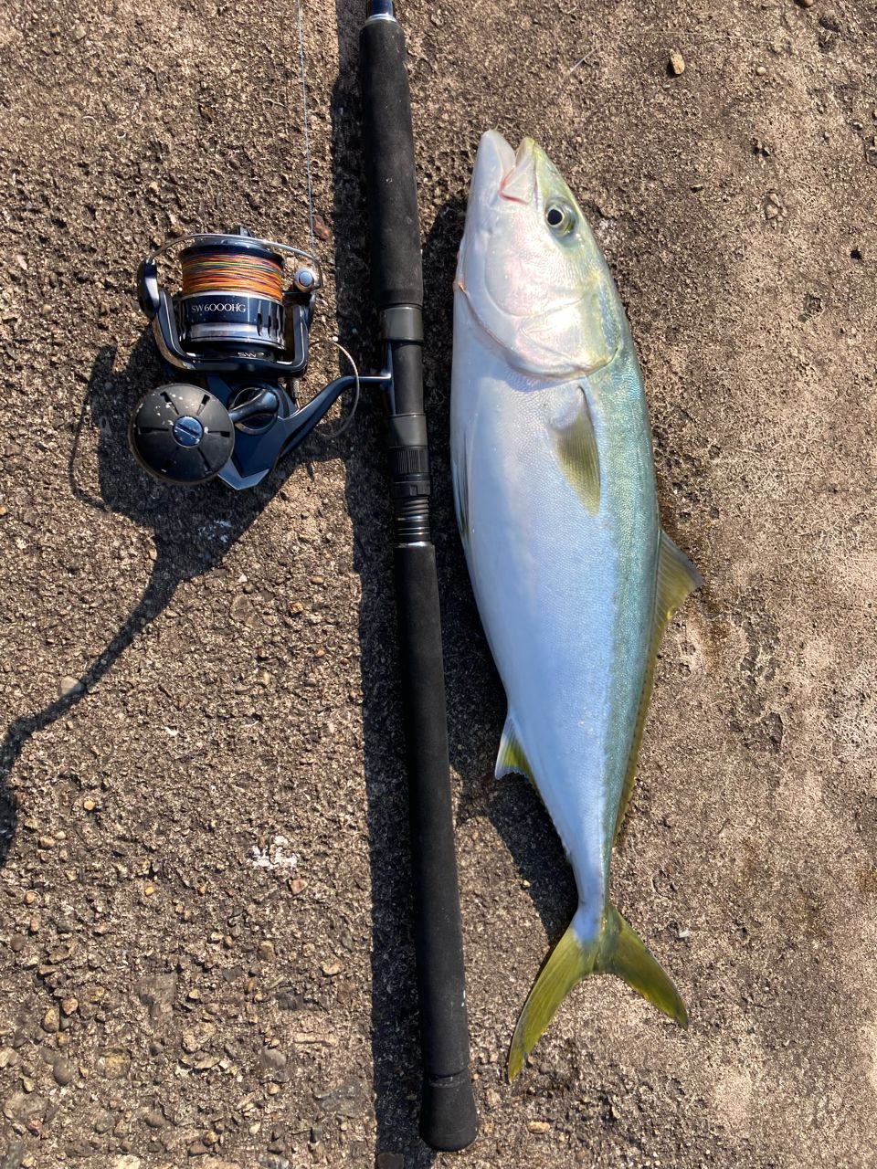 SHIMANO 21コルトスナイパーBB S100MH-3の最安値・インプレ・釣果