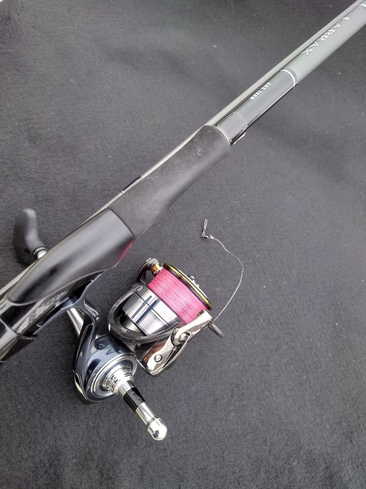 DAIWA 21ラブラックス AGS 100Mの最安値・インプレ・釣果 | 本音の