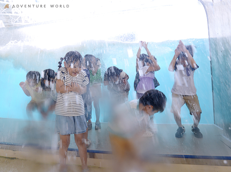 和歌山県白浜町のアドベンチャーワールドで夏の特別企画 びしょ濡れ