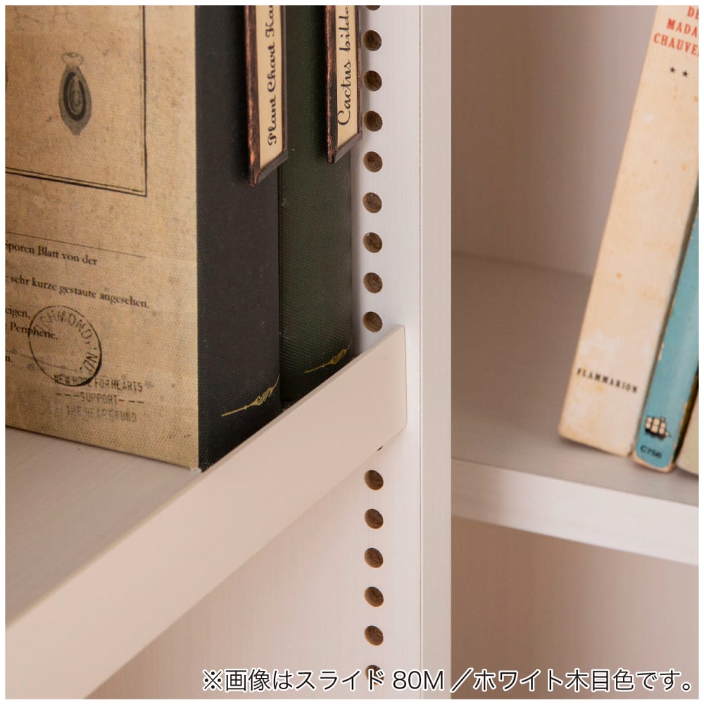 大容量・扉裏収納付きスライド本棚 NEWプラス スライド80M