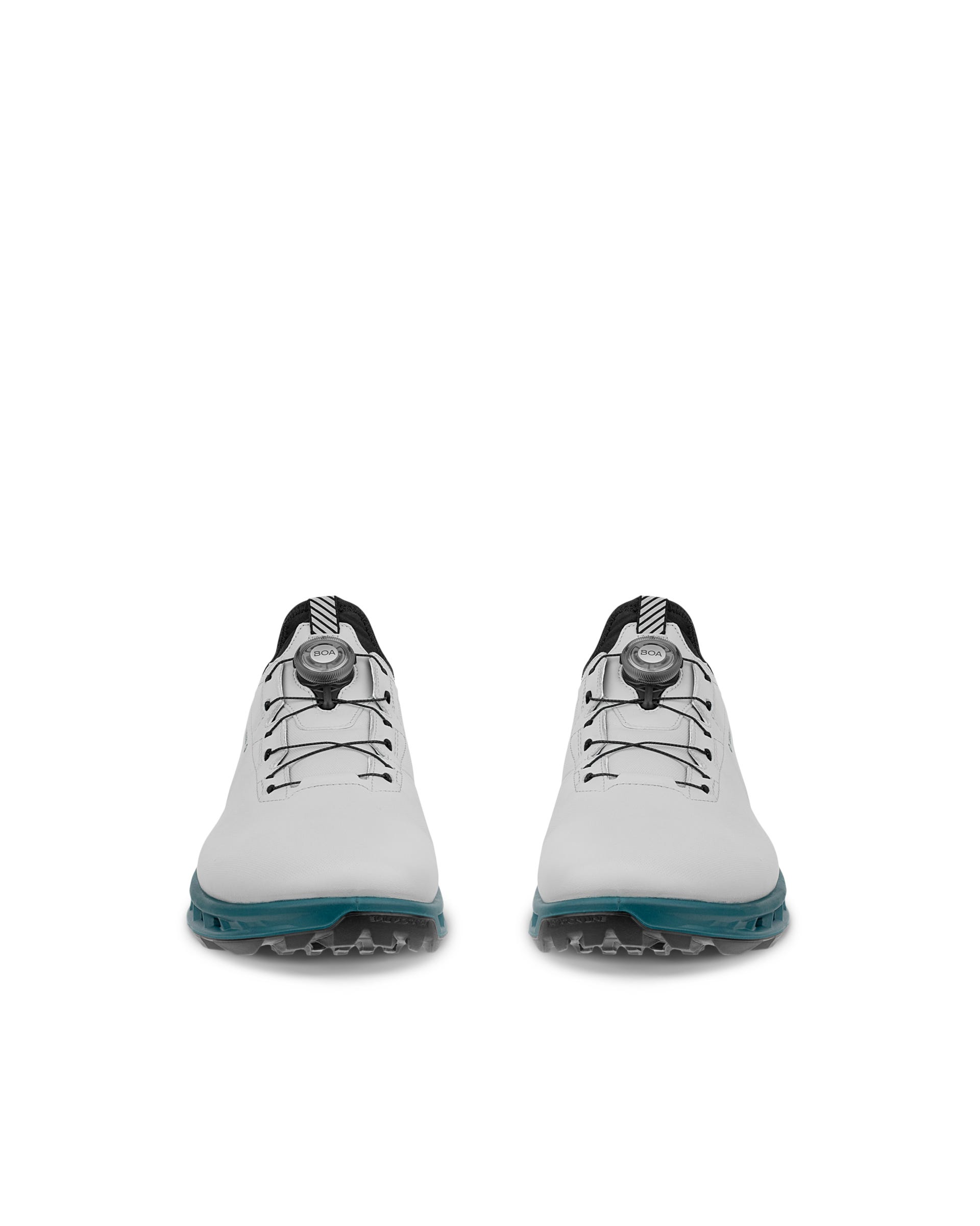 ECCO Golf BIOM C4 BOA Men メンズ レザーGore-Texゴルフシューズ | グレー