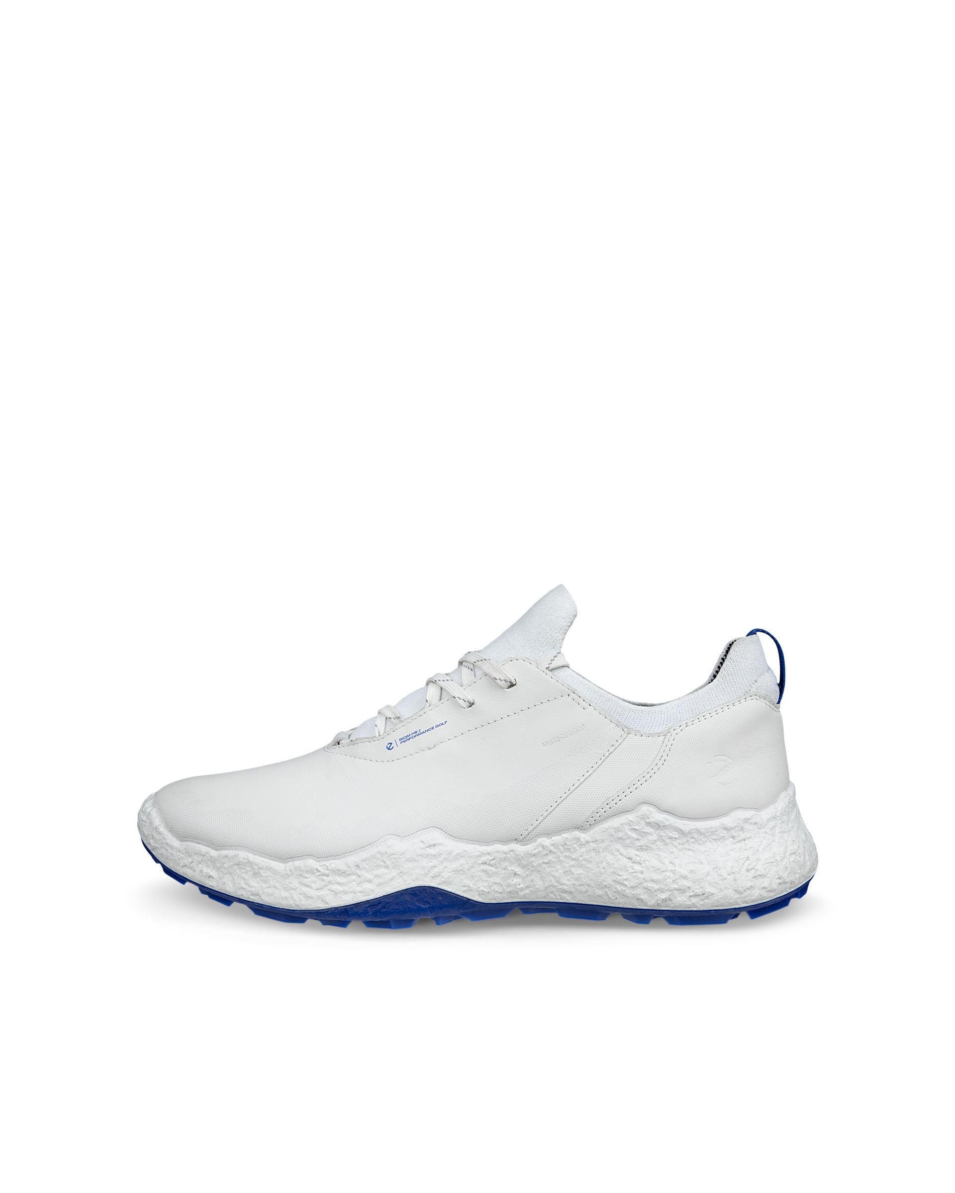 ECCO Golf BIOM C4 Men メンズ レザーGore-Texゴルフシューズ | ホワイト