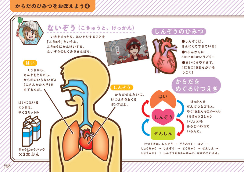 理科好きになる力を育てる！「はたらく細胞」のキャラクターたちと人体
