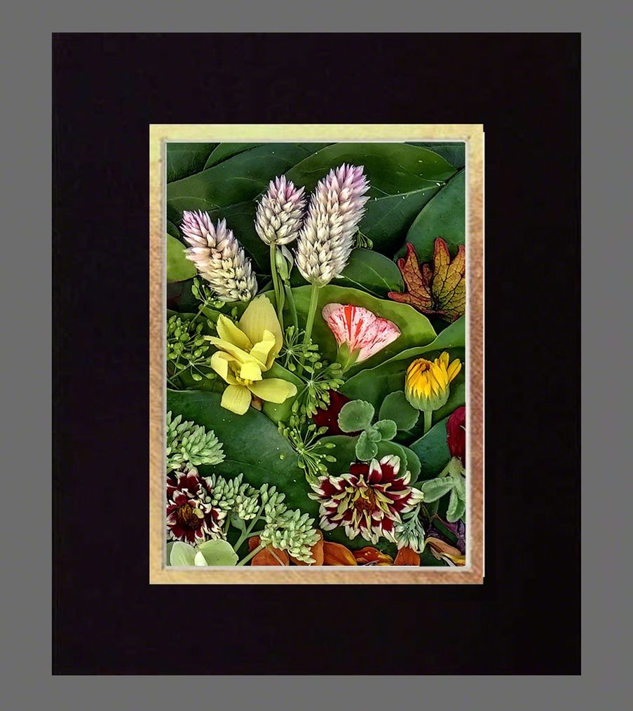 Recent Works – Studio Michaelino – Visions of a Distant Ecotopia