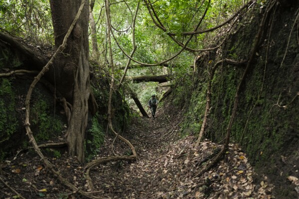 A photo journey through Panama's forgotten crossings before the