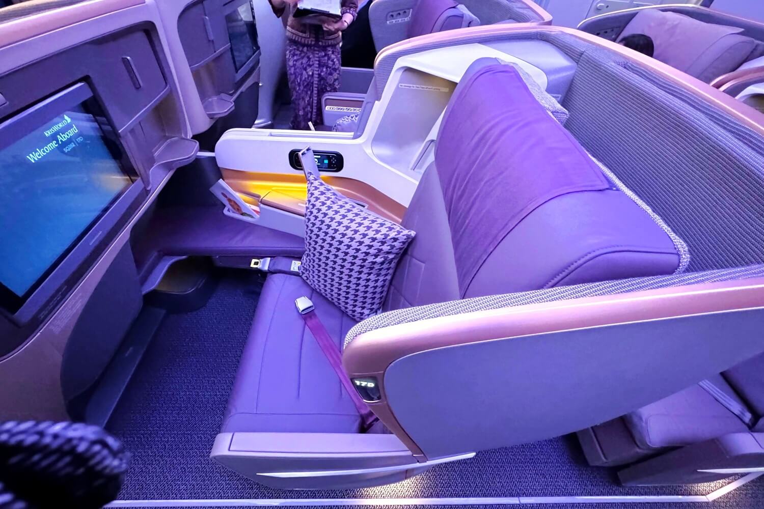 シンガポール航空ビジネスクラス復路昼行便搭乗記【2024.11】 | A-jump