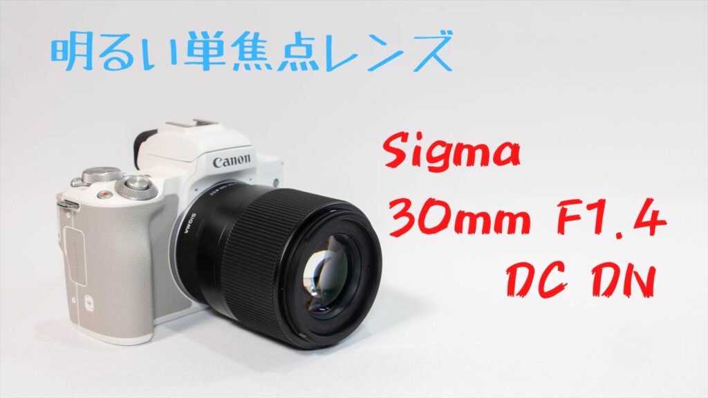 CANON EOS Kiss M2/Mのおすすめレンズ4選【初心者向け】 | digi-cam.net