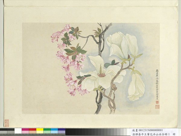 清惲壽平王翬花卉山水合冊冊辛夷- 故宮