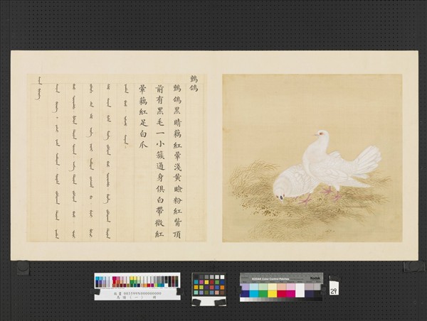 鳥譜（一） 冊鳳- 故宮