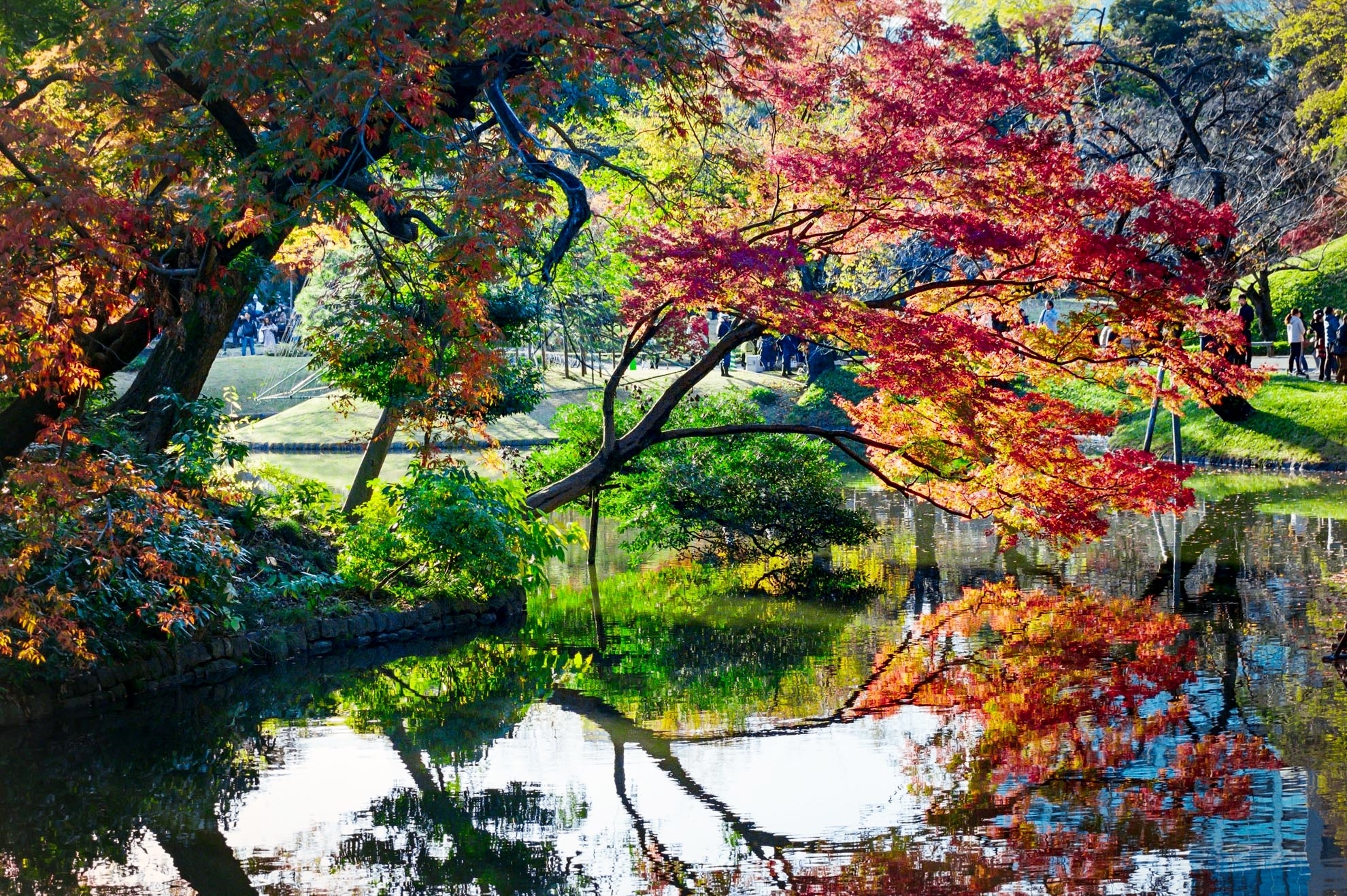 CONTAX Carl Zeiss Vario-Sonnar T* 80-200mm F4 MM ◇レビュー