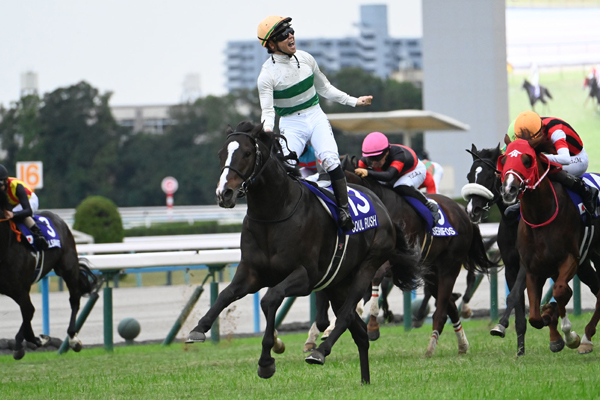 マイルチャンピオンシップ2024結果情報】ソウルラッシュが直線抜け出し