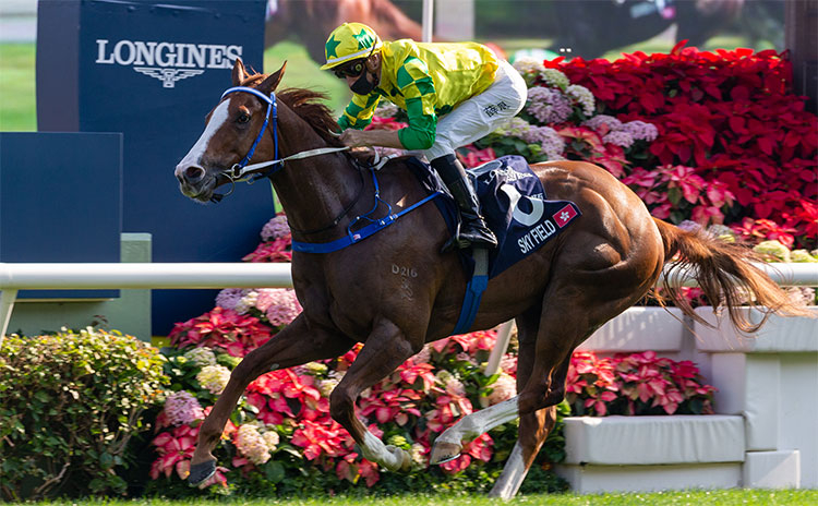 香港スプリント(G1)まとめ】2022年12月11日に香港・シャティン競馬場で