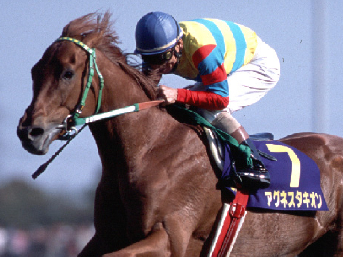 アグネスタキオンの軌跡 わずか4戦で歴史に名を刻んだ超光速の伝説