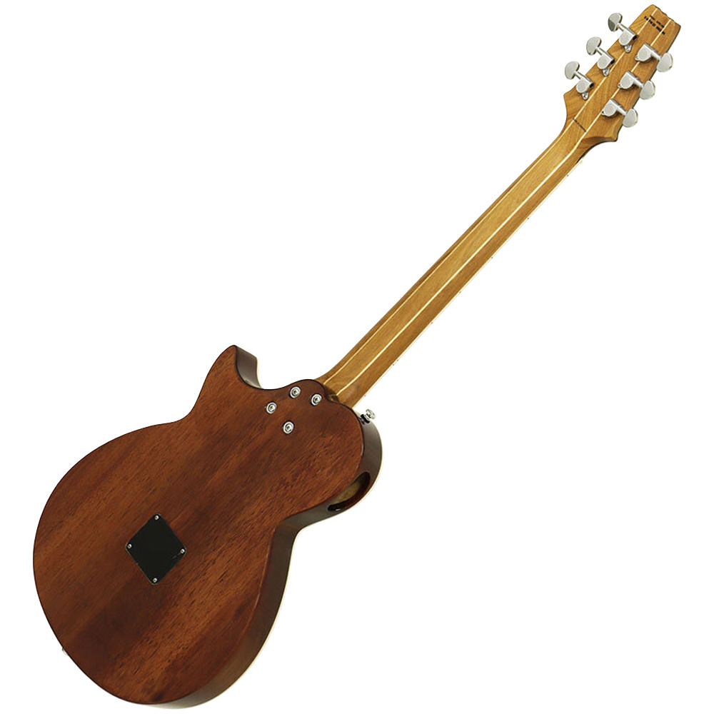 ARIAからサイドサウンドホールを採用したエレアコが発売！