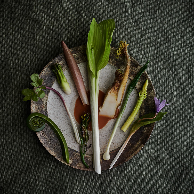 世界一のレストラン《noma／ノーマ》が京都にやってきたノーマ京都の