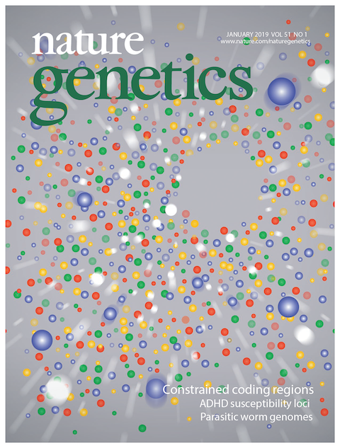 Defining Essential Regions of the Human Genome – Discovery and