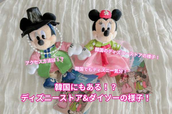 韓国にもある！？ディズニーストア&ダイソーの様子！ – Disney diary