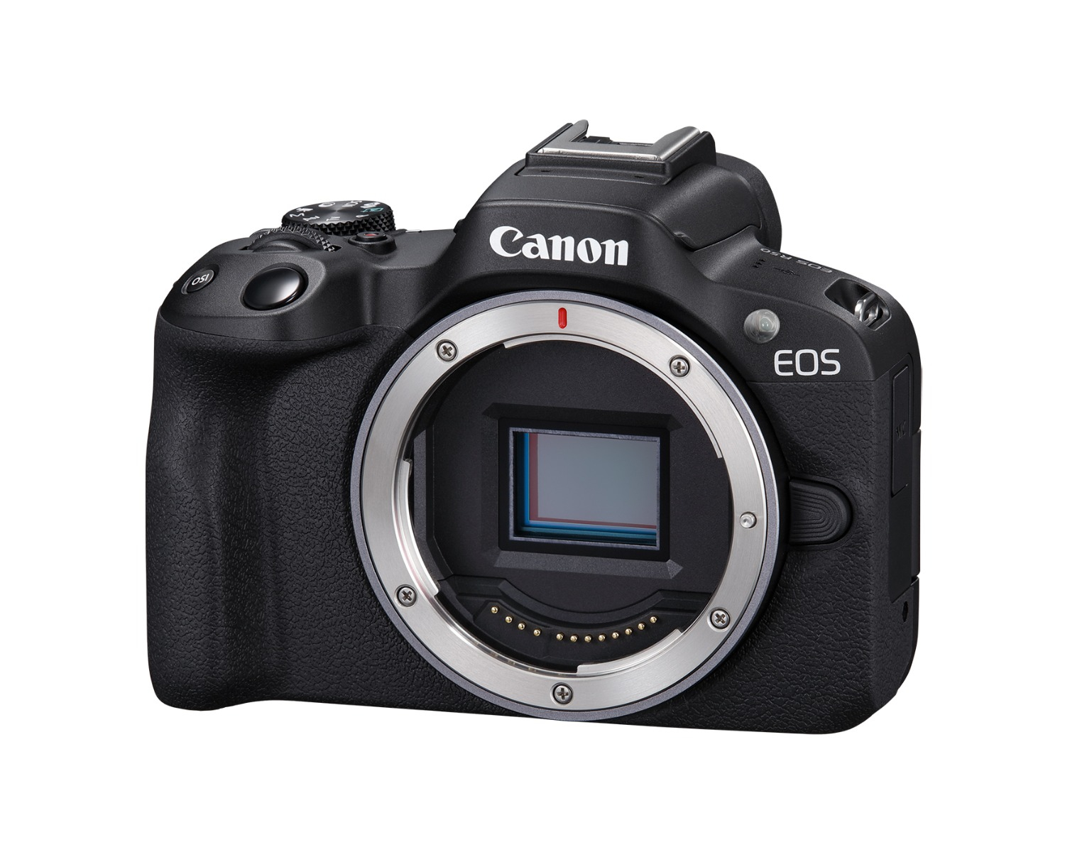 Dodd Camera - CANON EOS R50 Mirrorless Camera Body - Black | DODD