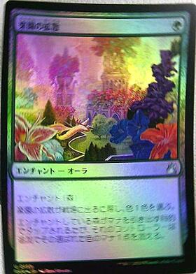 楽園の拡散/Utopia Sprawl DIS日本語foil