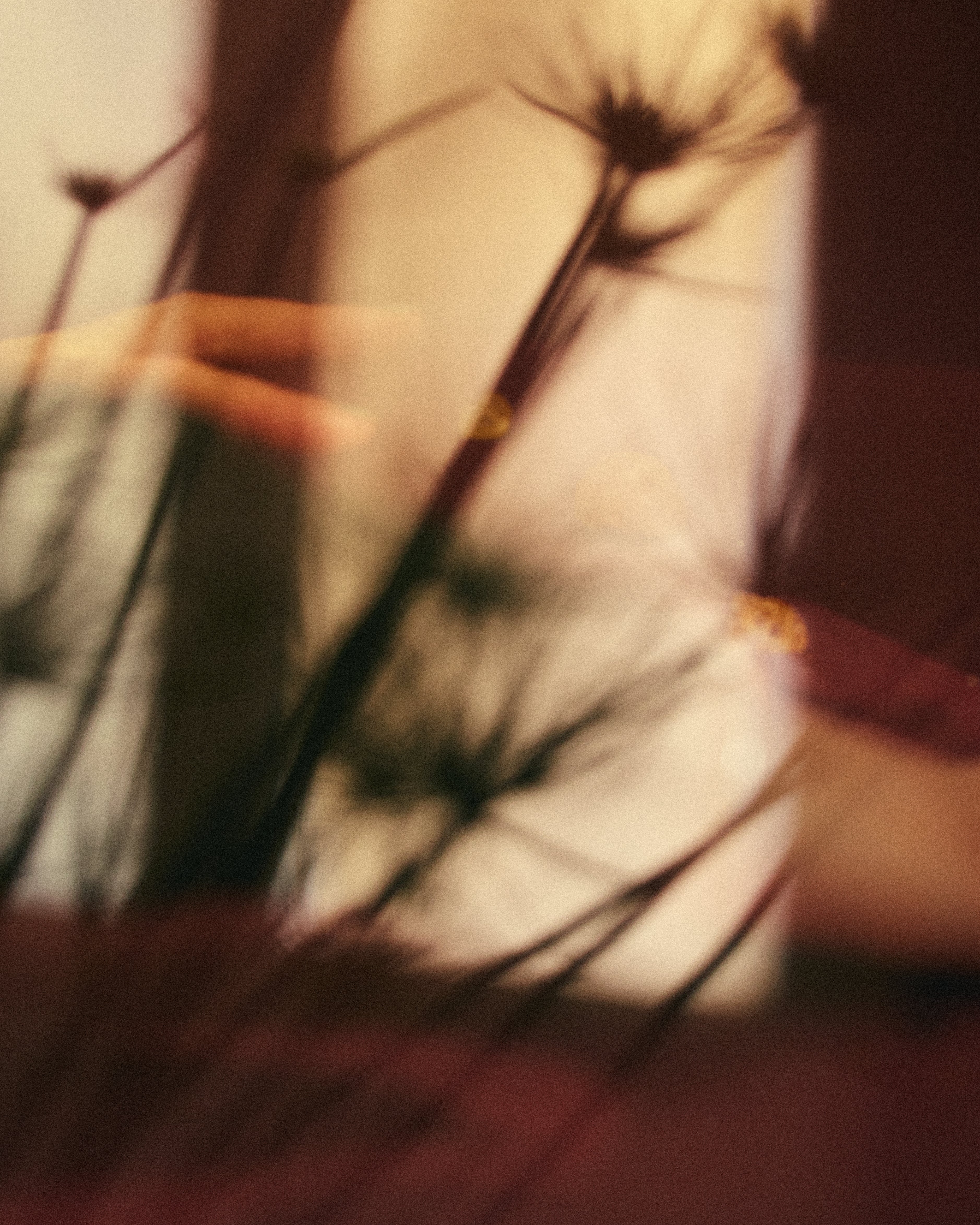 C.G. フレグランス - ドルセー ジャパン (d'Orsay Japan) | パルファム