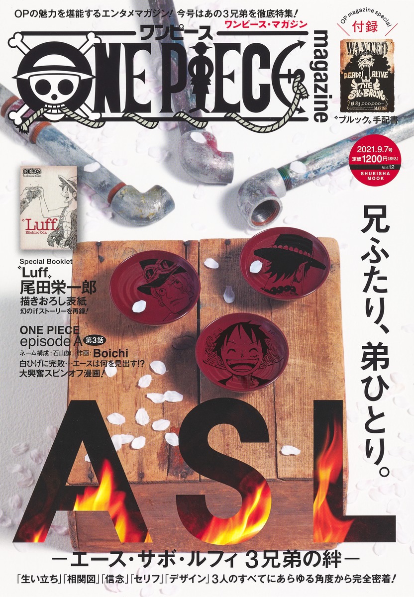 ONE PIECE magazine Vol.12／尾田 栄一郎 | 集英社 ― SHUEISHA ―