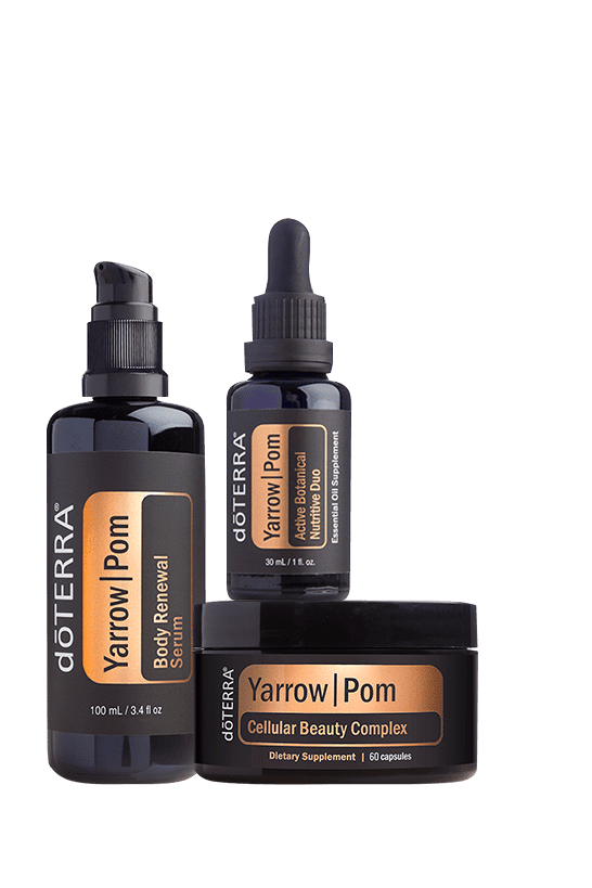 Yarrow|Pom Collection | doTERRA Essential Oils