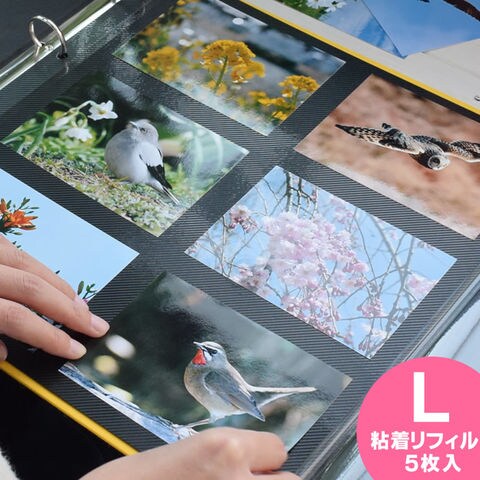 dショッピング |PDフォトアルバム 【サイズ用 粘着リフィル5枚入り