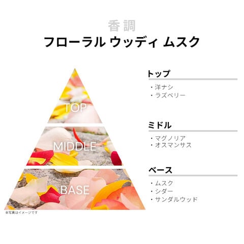 dショッピング |香水 レディース アモ フェラガモ パー レイ EDP 【お