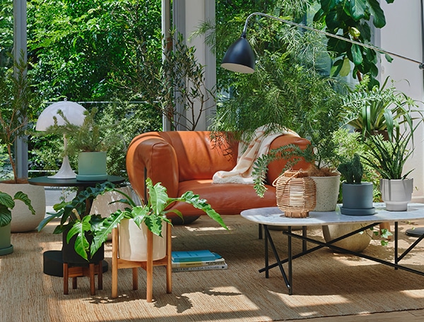 Buying Guides | The Conran Shop（ザ・コンランショップ）