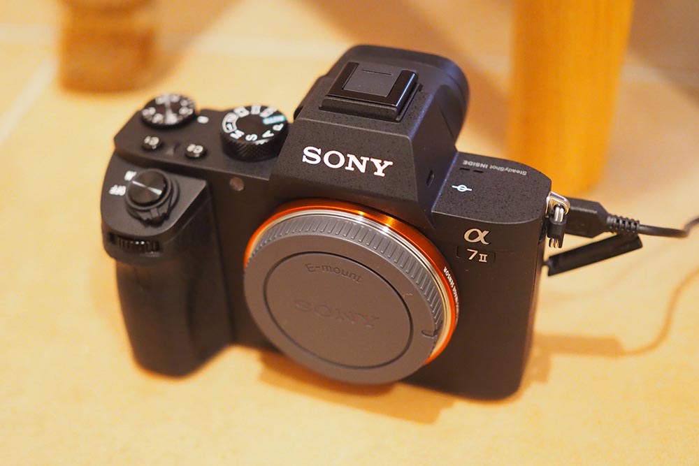 Eマウント3本目のレンズに憧れの85mm（FE 85mm F1.8）を購入したら最高